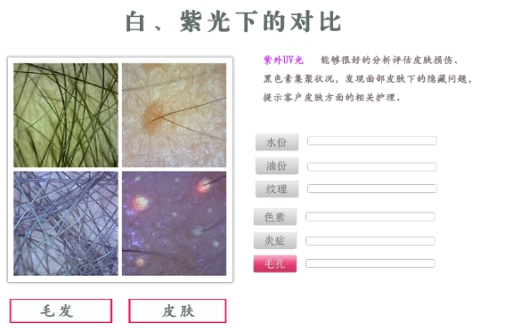 T9318皮膚檢測醫(yī)療內(nèi)窺鏡(顯微鏡)